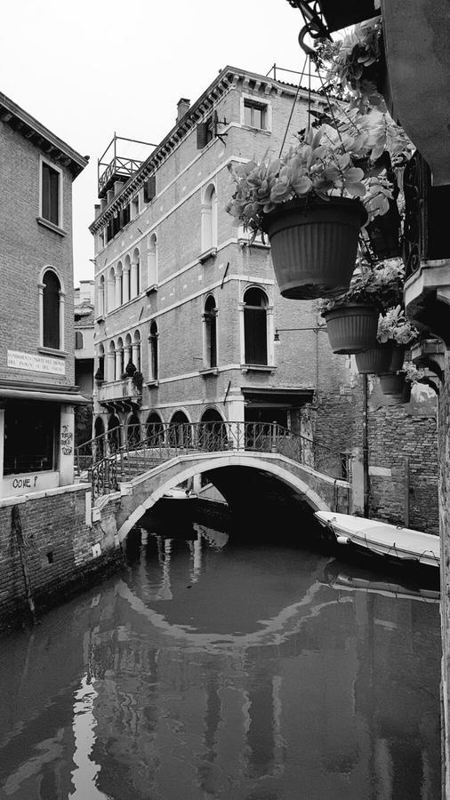 Pantalone * Venedig